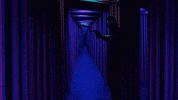 season 3 netflix GIF by Stranger Things