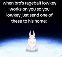 bomb_cat rezero ragebait snowbunny rezeromeme GIF