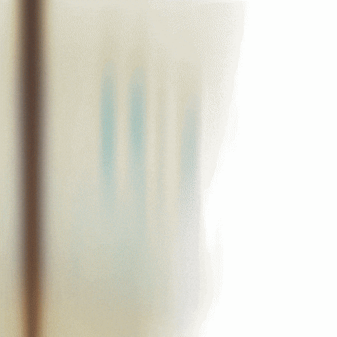 Vitaliah1 giphyupload GIF