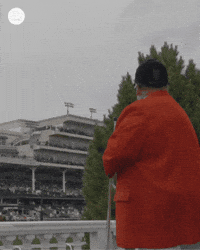 Morning Kentucky GIF by World Horse Racing