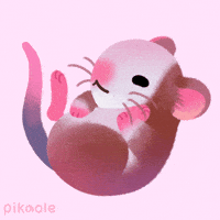 Fancy Rat GIF by pikaole