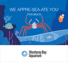 Deep Sea Love GIF by Monterey Bay Aquarium