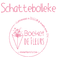 boeketdefleurs local bouquet brussels fleurs Sticker