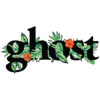 Ghost Supplements Sticker by ghostlifestyle