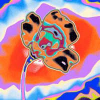 Rainbow Loop GIF by Toke