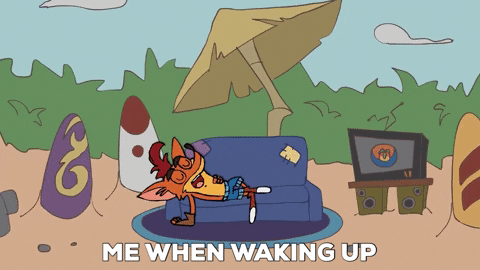 vib-bandicoot183 giphygifmaker akuaku crash4 GIF