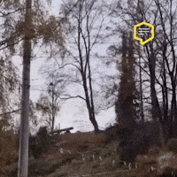 Police Omg GIF by Linz News