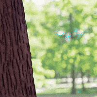 Plotting Yes Yes GIF by Snek