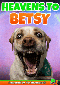 Puppy Dog Eyes GIF by PetJuvenate