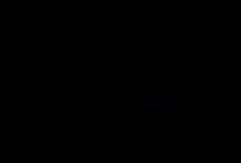 Love It Omg GIF by The official GIPHY Page for Davis Schulz