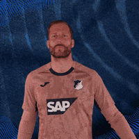Sport Bundesliga GIF by TSG Hoffenheim