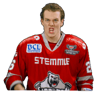 Hockey Del2 Sticker by Eisbären Regensburg