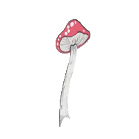 Mushroom Tripping Sticker by Padre Mu