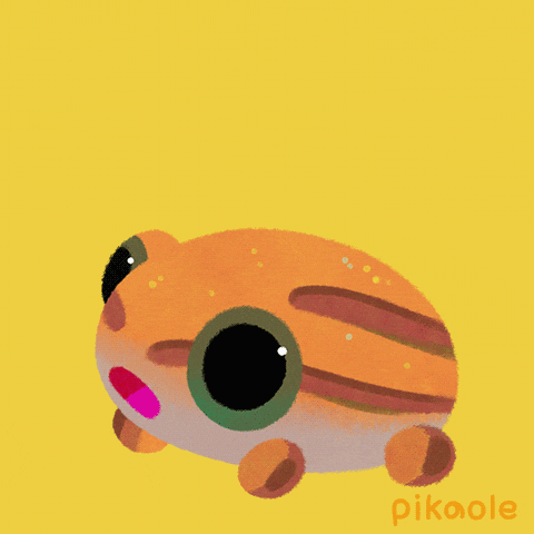 Oh My Gosh Omg GIF by pikaole