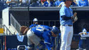 Blue Jays Baseball GIF by Toronto Blue Jays