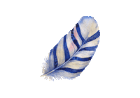 Feather Peri Sticker by Kolorky