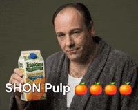 The Sopranos Son GIF