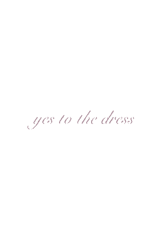 Stilecht_Brautcouture giphyupload braut yestothedress stilecht Sticker