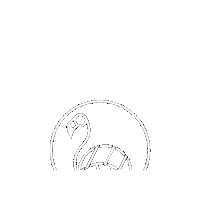 flamingokite lemnos limnos keros aliki Sticker