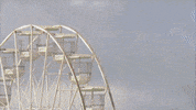 Sport Racing GIF by W Series