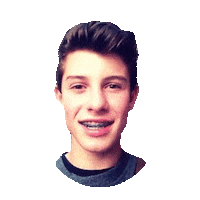 shawn mendes STICKER by imoji