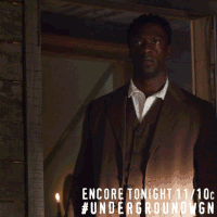 noahlee GIF by Underground