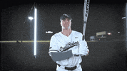 Baseball GIF by ORU Athletics
