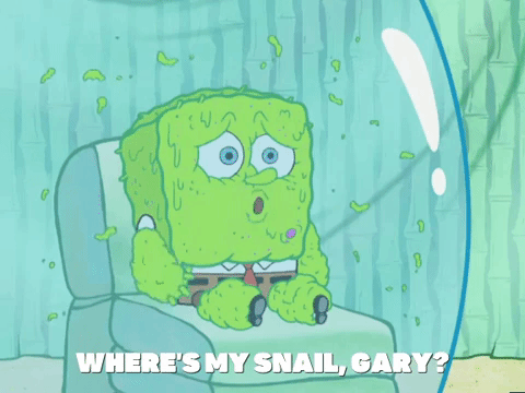 season 5 episode 3 GIF by SpongeBob SquarePants