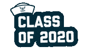 Celebrate Us Navy Sticker by America's Navy