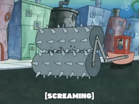 season 5 GIF by SpongeBob SquarePants