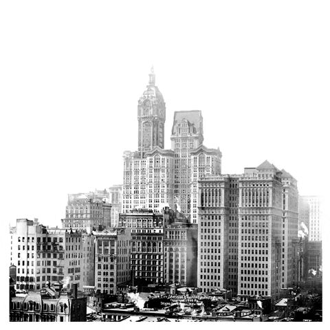 erickdomca giphyupload giphystrobe GIF