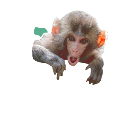 Surprise Love Sticker by Nubika Formacion