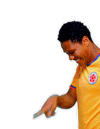 Copa America Football Sticker by Caracol Television