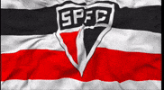 Sao Paulo Corinthians GIF