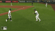 Major League Baseball Sport GIF by MLB