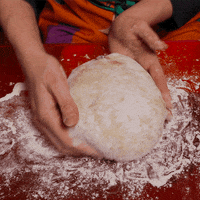 sourdoughdisco disco sourdough GIF