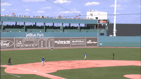 Blue Jays Mlb GIF by Toronto Blue Jays
