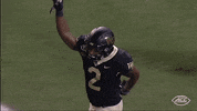accsports accfootball wakefootball GIF