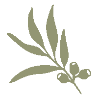 Eucalyptus Gumleaf Sticker by ergoPouch