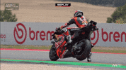 Pedro Acosta Racing GIF by MotoGP™