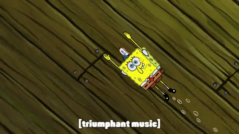 season 9 GIF by SpongeBob SquarePants