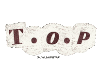 Choi Seunghyun Top Sticker