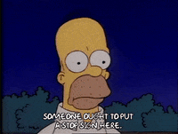 Season 1 Episode 3 GIF by The Simpsons