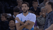 liga endesa basketball GIF by ACB