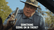 LegalShield cop caught guilty whatsup GIF