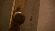 watch out door GIF by ABC Network