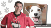 checkershockey funny hockey charlotte ahl GIF