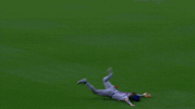 New York Mets Sport GIF by MLB