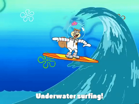season 3 GIF by SpongeBob SquarePants