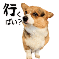 Corgi Milo Sticker